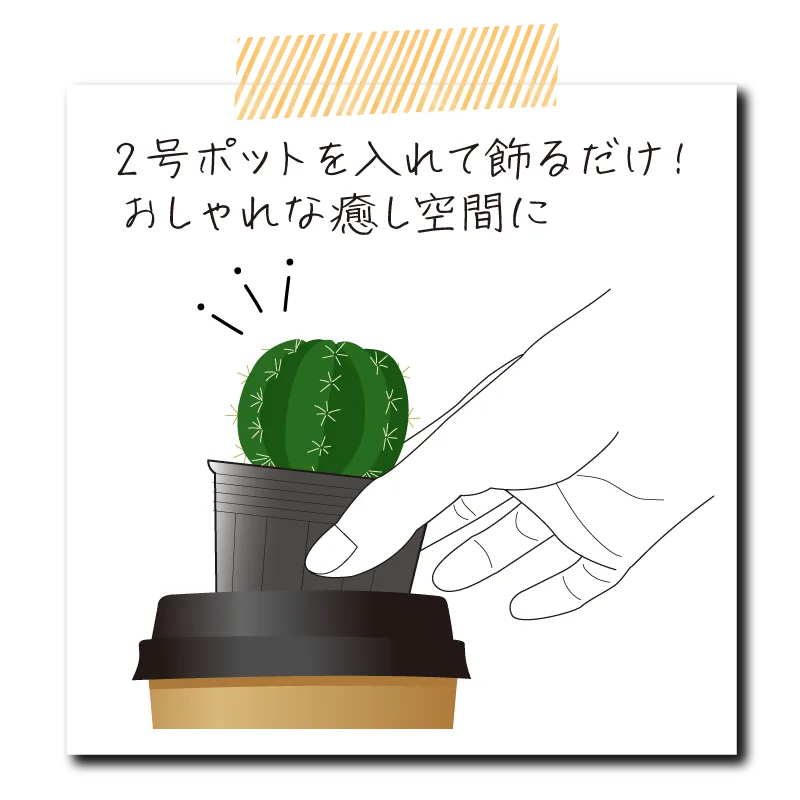 カフェカッププランター