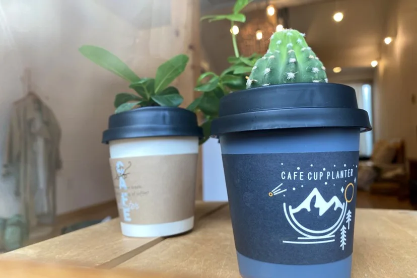 カフェカッププランター